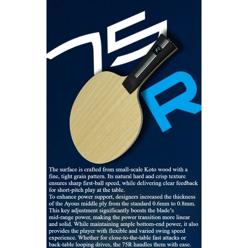SANWEI 75R 5+2 Dış H-GLC Masa  - Table Tennis Paddles incelemesi ve fiyatı